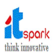 Passionate IT Spark logo