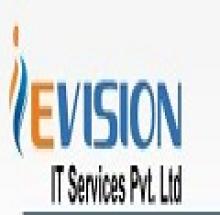 IEVISION IT Services logo