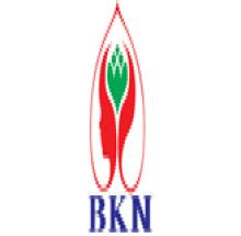 BKN Group Of Institution, Delhi logo