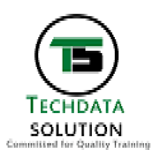 Techdata Solution, Pune logo