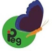 Institute For Personality, Etiquette and Grooming (IPEG Chennai) logo