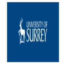 University of Surrey logo