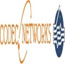 Codec Networks Private Limited logo