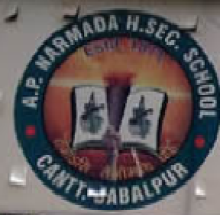 A.P. Narmada College logo