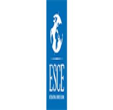 ESCE International Business School logo