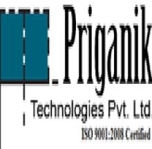 Priganik Technologies logo