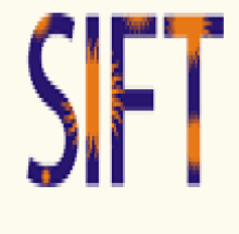 SIFT - Suryadatta Institute of Fashion Technology logo