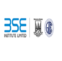 Bombay Stock Exchange Institute, Mumbai logo