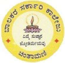 Government Boys College, Chintamani logo