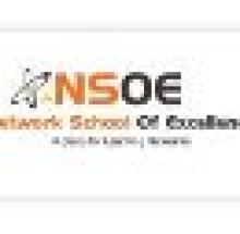 Network School Of Excellence logo