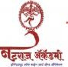 Natraj Academy of Fine Art and Animation logo