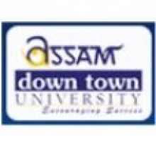 Down Town Group of Institutions logo