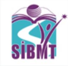 St. Stephen Institute of Business Management and Technology logo