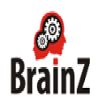 BrainZ Institute of Design (Brainz Ahmedabad) logo