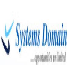 Systems Domain logo