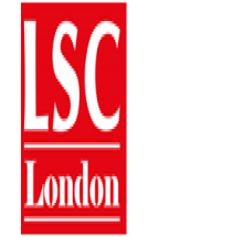 London School of Commerce logo