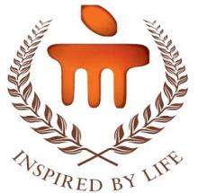 Manipal Institute of Technology, Bengaluru, Manipal Academy of Higher Education logo