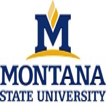 Montana State University logo