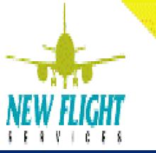 New Flight logo