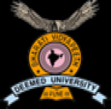 Institute of Management, Bharati Vidyapeeth University logo