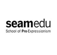 Seamedu School of Pro-Expressionism, Pune logo