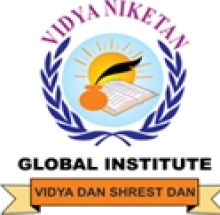 Vidya Niketan College of Engineering logo