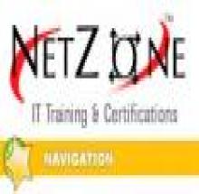 NETZONE Networking Training Institute logo