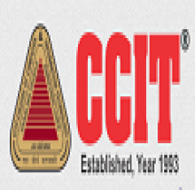 College of Computer And Information Technology logo