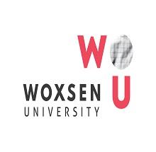 Woxsen School of Art and Design logo