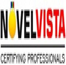 NovelVista Learning Solutions logo