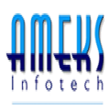 AMEKS Infotech logo