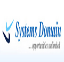 System Domain, Sarajpur logo