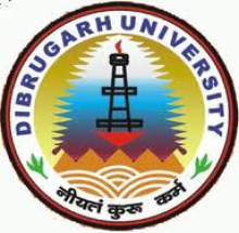 Dibrugarh University Institute of Engineering and Technology logo