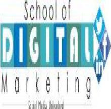 Delphi School of Digital Marketing Pune logo