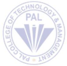 Pal College of Technology and Management logo