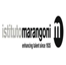 Istituto Marangoni - France logo