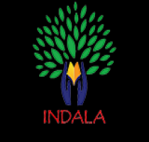 Indala Institute Of Pharmacy logo