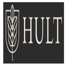 Hult International Business School - USA logo