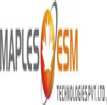 Maples ESM Technologies Pvt Ltd logo