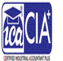 ICA Edu Skills Pvt. Ltd. logo