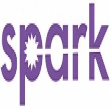 Spark Training Academy logo