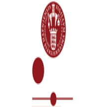 University of Copenhagen logo