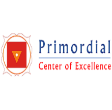 Primordial Center of Excellence logo
