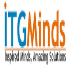 ITG  Minds logo