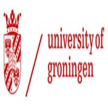 University of Groningen logo