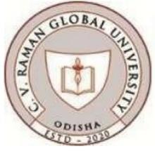 C. V. Raman College of Engineering logo