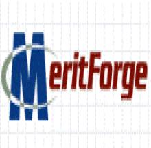 Merit Forge Infotech logo