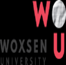 Woxsen School of Architecture and Planning logo