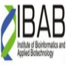 Institute of Bioinformatics and Applied Biotechnology logo