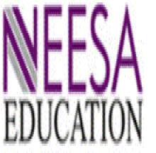 Neesa Institute of Management Studies, Gandhinagar logo